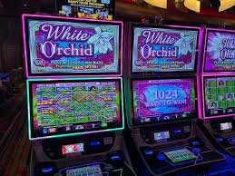 Jenis-jenis pasar taruhan Free Fire World Series di kingbet